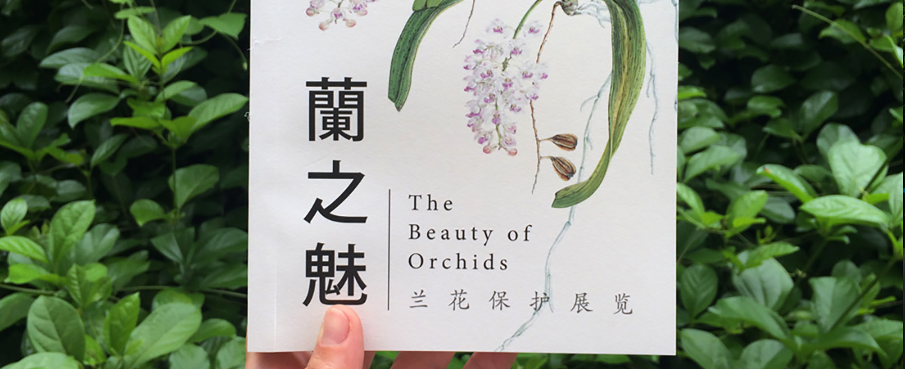 The Booklet – All About Orchid Project 